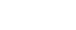 ToyOrganize - logo